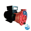 Aqua-Flo Xp2 2.5Hp 2Spd - Amp Plug Pumps