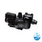 Astral Ctx 280(1.0Hp) High Performance Pump Pumps