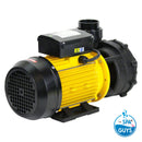 Davey Qb Series 2Hp Two Speed Spa Pool Pump Coarse Thread Amp Pumps