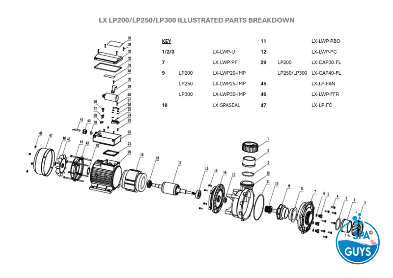 LX Pro Series LP200 2hp Single Speed Pump Pumps