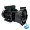 LX Pro Series LP250 2.5hp Single Speed Pump Pumps