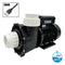 LX Pro Series WP300 3hp Two Speed Pump Pumps