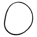 Sundance 2' Diverter Lid O'Ring
